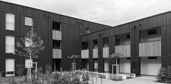 Pano_FHS